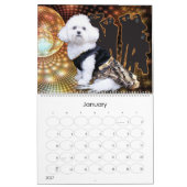 Mia - ein Bichon Frise 2014 Kalender (Jan 2027)