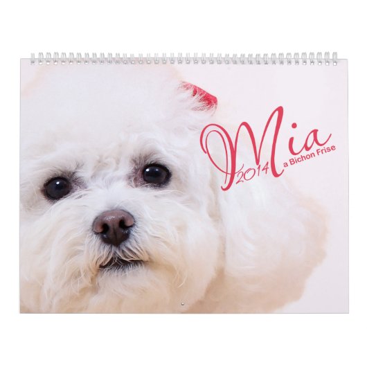 Mia - ein Bichon Frise 2014 Kalender (Titelbild)