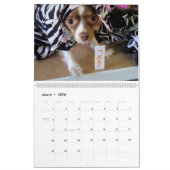 Mia the Megaesophagus Doggie 2021 Kalender (Mär 2026)