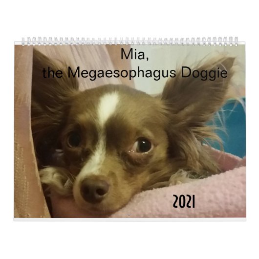 Mia the Megaesophagus Doggie 2021 Kalender (Titelbild)