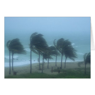 Miami Beach, Florida, Hurrikanwinde peitschen