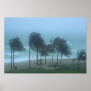 Miami Beach, Florida, Hurrikanwinde peitschen Poster