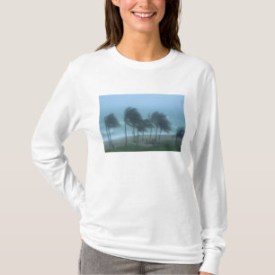 Miami Beach, Florida, Hurrikanwinde peitschen T-Shirt