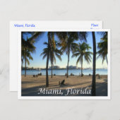 Miami Beach Florida, Sunset Postcard Postkarte (Vorne/Hinten)