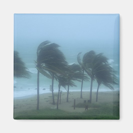 Miami Beach, Florida, Wirbelstürme Magnet (Vorne)