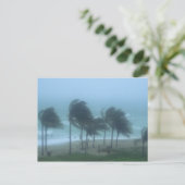 Miami Beach, Florida, Wirbelstürme Postkarte (Stehend Vorderseite)