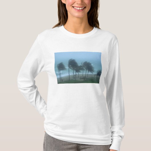 Miami Beach, Florida, Wirbelstürme T-Shirt (Vorderseite)