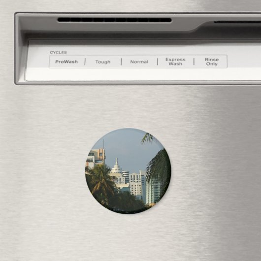 Miami Beach Magnet (In Situ (Geschirrspüler))