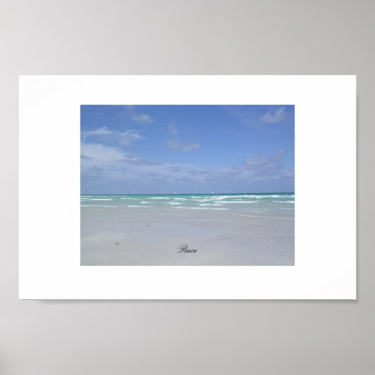 Miami Beach Poster (Vorne)