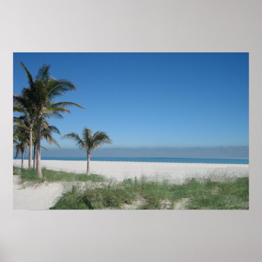 Miami Beach Poster (Vorne)