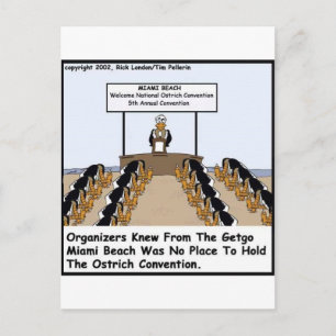Miami Beach Straußen Convention Lustige Geschenke Postkarte