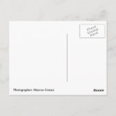 Miami FL Postkarte (Rückseite)