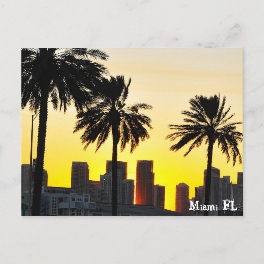 Miami FL Postkarte (Vorderseite)