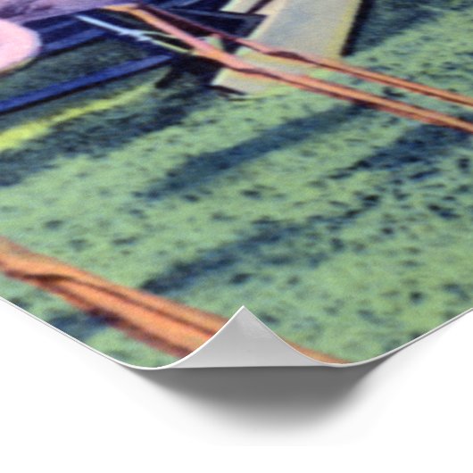 Miami Florida Flamingos in Hialeah Park Poster (Ecke)