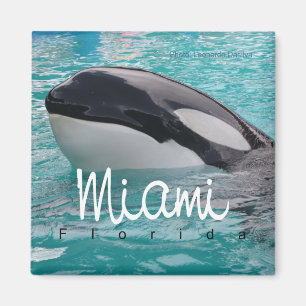 Miami Florida Orca-Wal-Foto-Kühlschrankmagnet Magnet