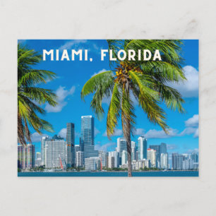 Miami Florida Postcard Postkarte