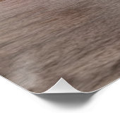 Miami, Florida Poster (Ecke)