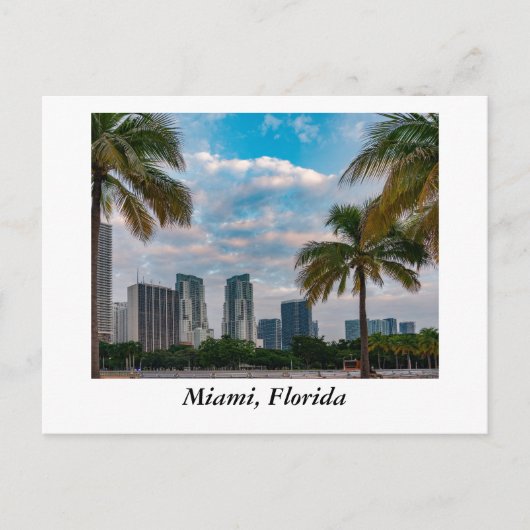Miami Florida Postkarte (Vorderseite)