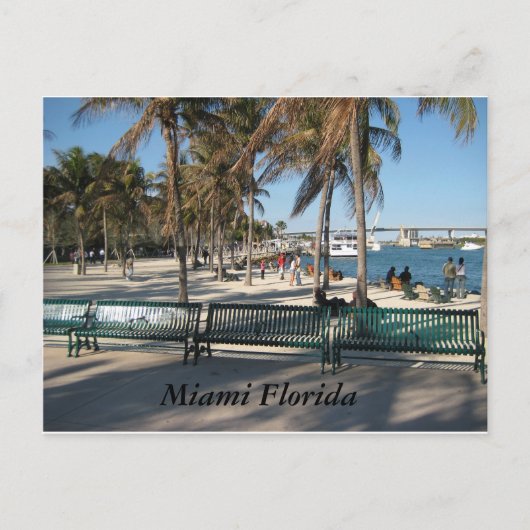 Miami Florida Postkarte (Vorderseite)
