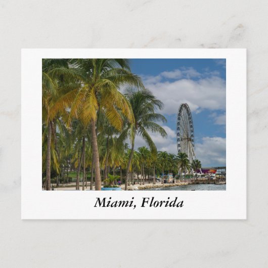 Miami Florida und Biscayne Bay Postkarte (Vorderseite)