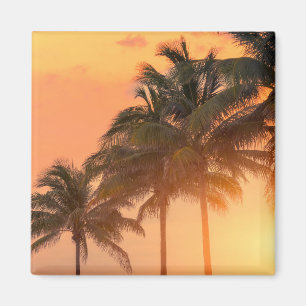 Miami-Palmen Magnet
