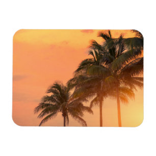 Miami-Palmen Magnet