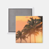 Miami Palms Magnet (Vorderseite/Rückseite)