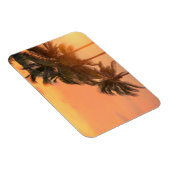 Miami Palms Magnet (Rechte Seite)