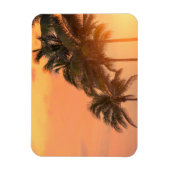 Miami Palms Magnet (Vertikal)