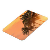 Miami Palms Magnet (Linke Seite)