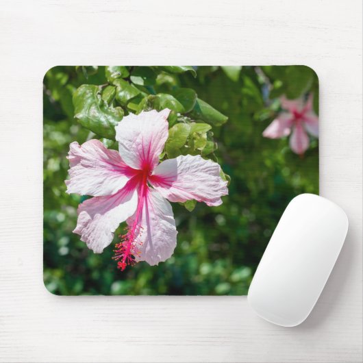 Miami Pink Hibiskus Tropische Blume Bloom Mousepad (Mit Mouse)