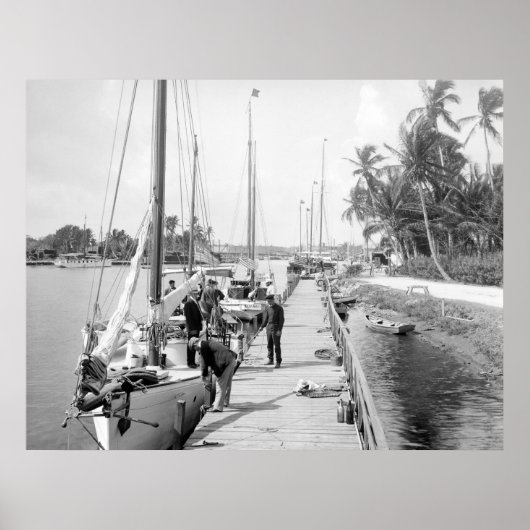 Miami Sailboats, 1905 Poster (Vorne)