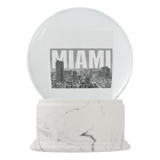 Miami-Schnee-Kugel Schneekugel (Rückseite)