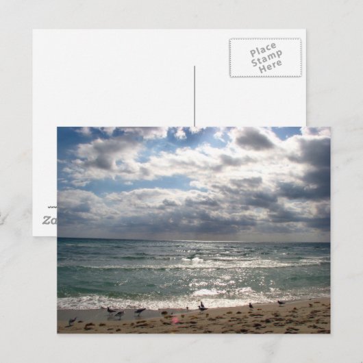 Miami Series Postkarte (Vorne/Hinten)
