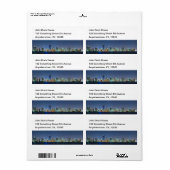 Miami Skyline Panorama (Vorne)