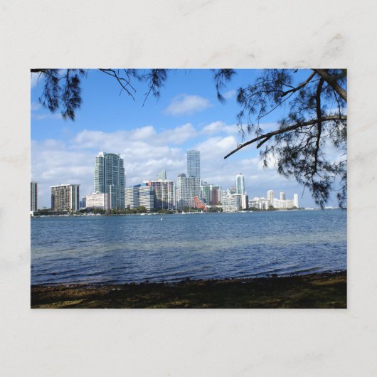 Miami Skyline Postkarte (Vorderseite)