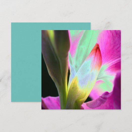 Miami Style Blumenkarte (Vorne/Hinten)