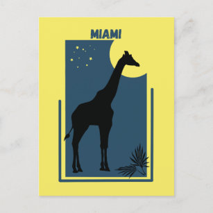 Miami Zoo Florida Vintag Giraffe Postkarte