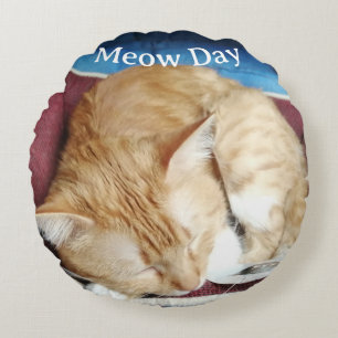 Miau-Katzen-Foto-Rundkissen Rundes Kissen