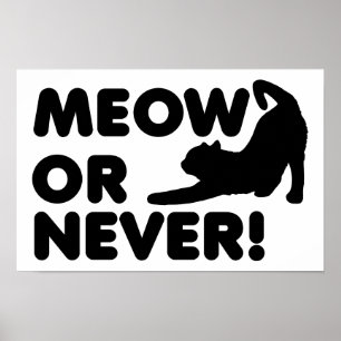 Miau oder Nie Lustiges Poster