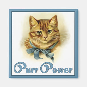 Miau-Power Magnet
