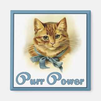 Miau-Power Magnet