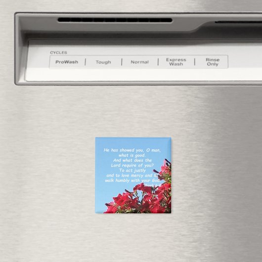 Micah 6:8 magnet (In Situ (Geschirrspüler))