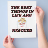 MICH adoptiert Flyer (Hand)