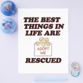 MICH adoptiert Flyer (Einzeln)