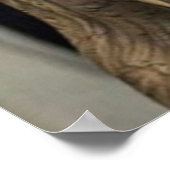 Michael Scofield Prison Break Poster (Ecke)