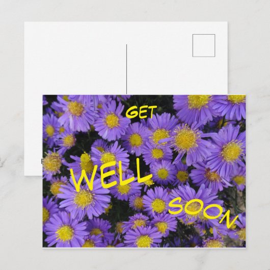 Michaelmas Daisy Cust Schnelle Postkarte (Vorne/Hinten)