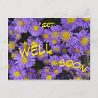 Michaelmas Daisy Cust Schnelle Postkarte