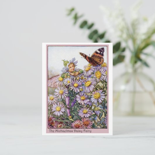 Michaelmas Daisy Fairy Postkarte (Stehend Vorderseite)