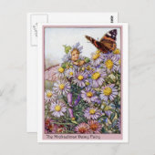 Michaelmas Daisy Fairy Postkarte (Vorne/Hinten)